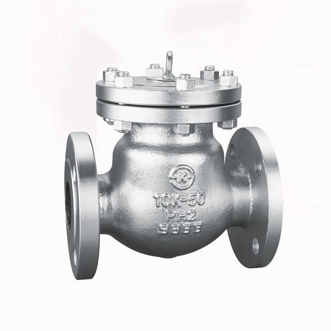 Japanese standard cast steel check valve