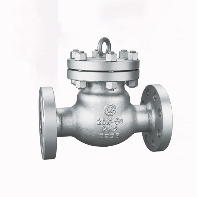 Japanese standard carbon steel check valve