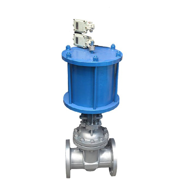 Single/double acting pneumatic gate valve